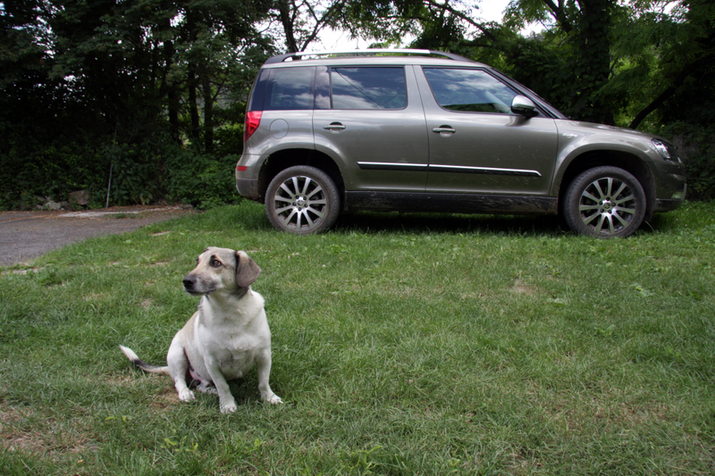 Illustration for article titled 2014 Skoda Yeti Outdoor 4x4: The Jalopnik European Review